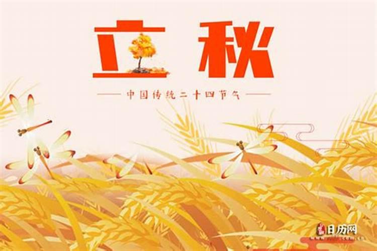 早立秋和晚立秋怎么分 关于立秋的谚语10条