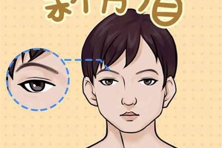 如何从眉毛面相看感情顺遂？