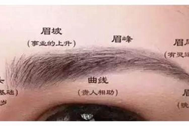 面相学眉毛代表什么 断眉好不好