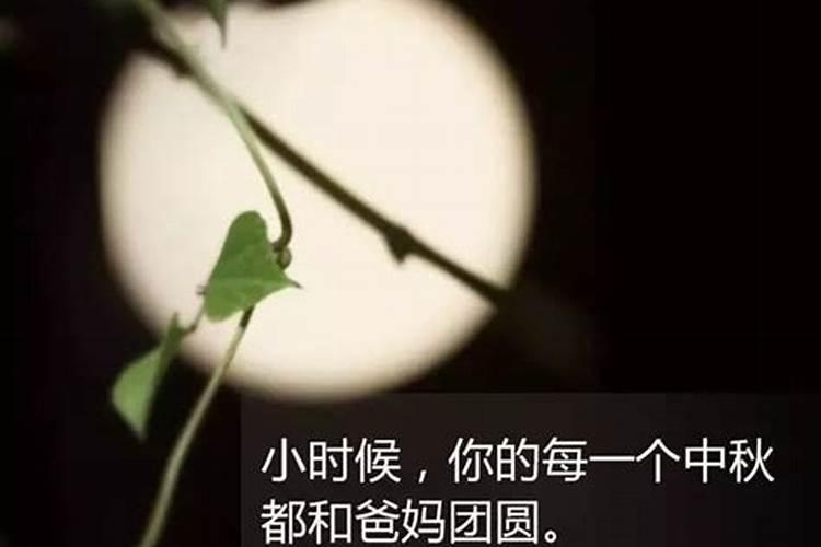 八月十五哪里好玩的地方 在八月十五哪里有好玩的地方