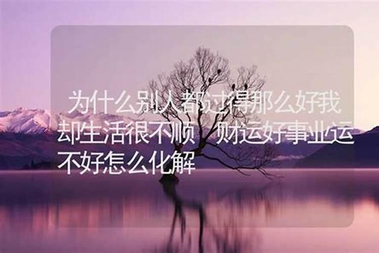 1990年属马2025年运势如何