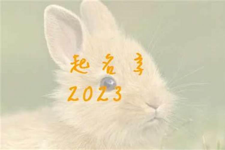 属兔有福气的女孩名字,独一无二洋气女孩名