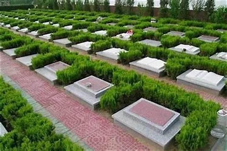 梦见鱼死了又活了是什么意思