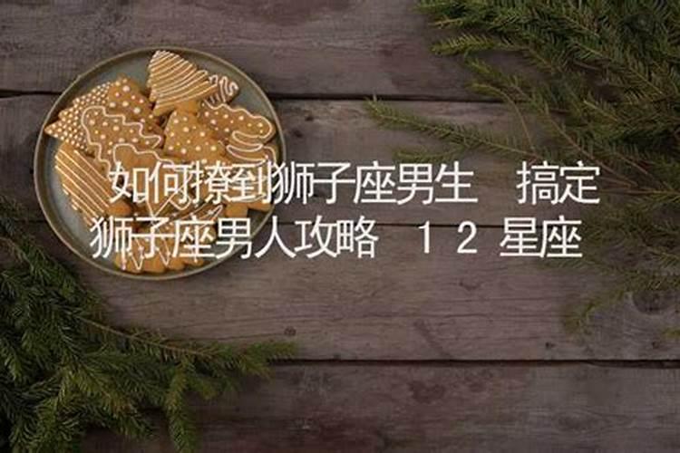 狮子座男生怎么追(如何攻略狮子座男生)