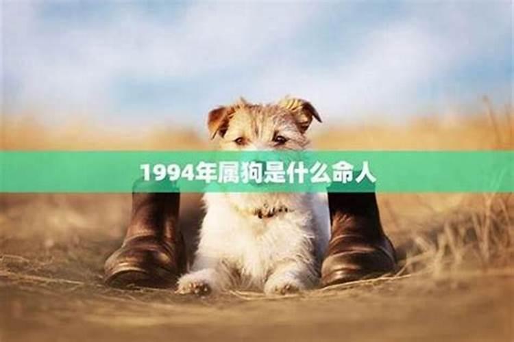 1982年属狗腊月初七是什么命