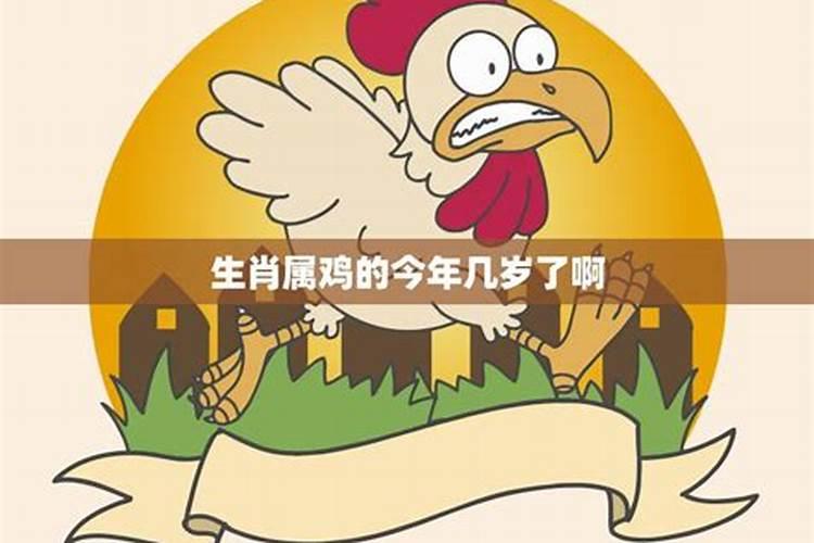 属马的和属羊的配吗