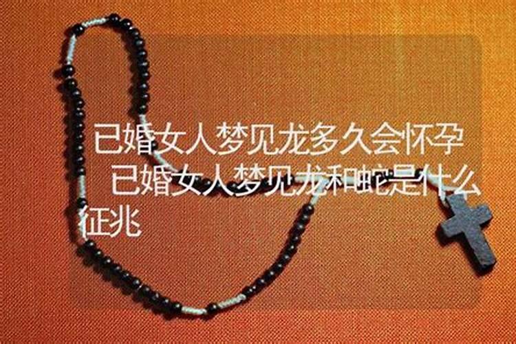 怎样判断六角龙鱼怀孕了