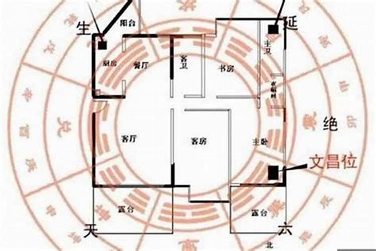 78年属马2025年运势如何