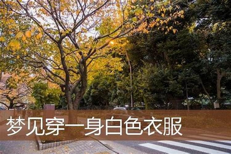 梦见朋友穿一身白衣服的预兆
