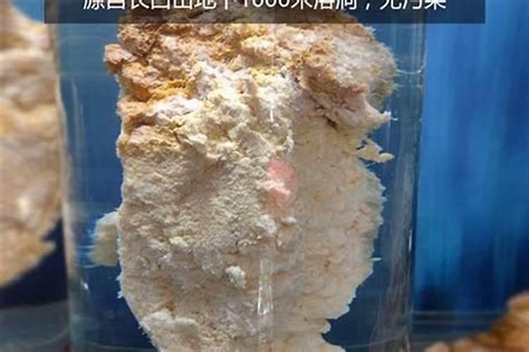 泡太岁的水能喝吗,太岁泡水什么人不能喝