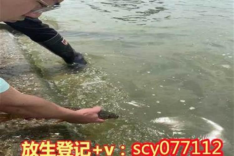 梦见奶奶死而复生预示着什么