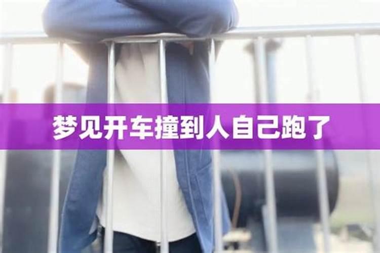 梦见很多马撞我的预兆