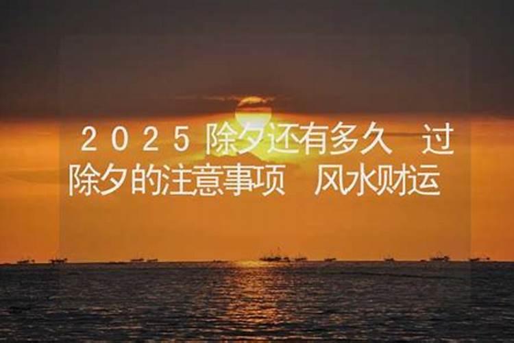 生肖龙2025年运势 属龙人2025年每月运势