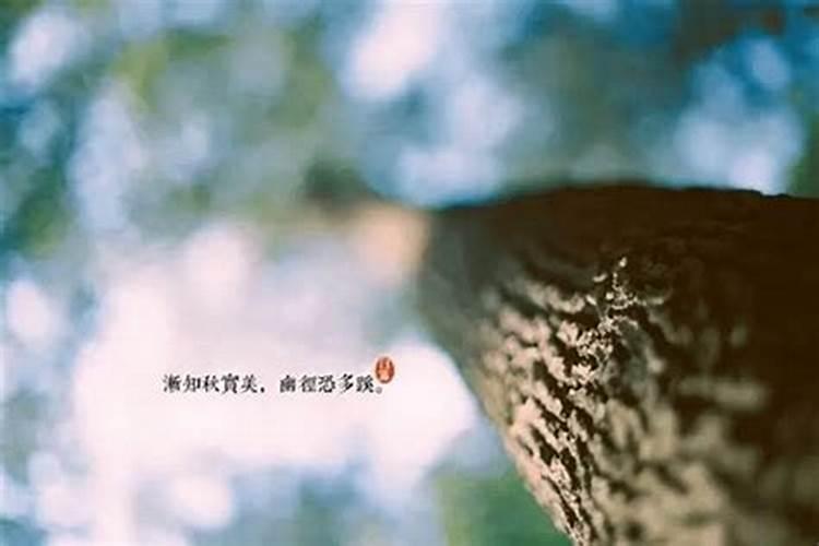生孩子后运气变好是什么原因？