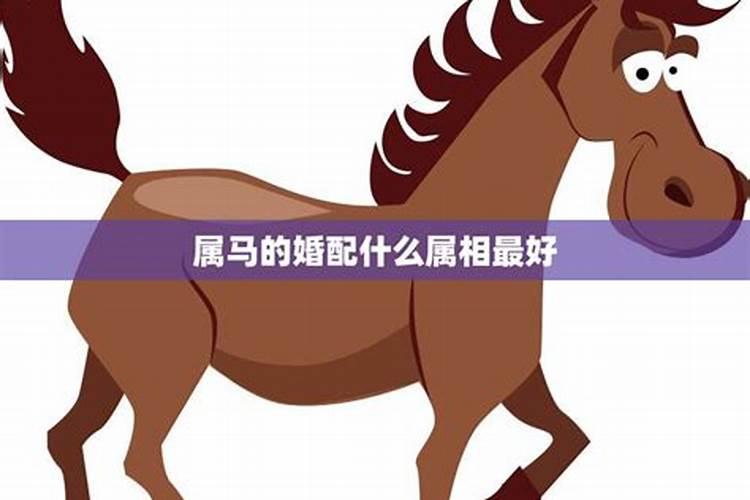 属马的属相婚配表是怎样的？