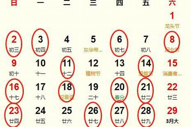 2023年不生几月兔农历 体弱多病且运势不利