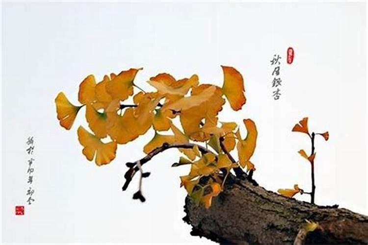 出生年月日能算命吗