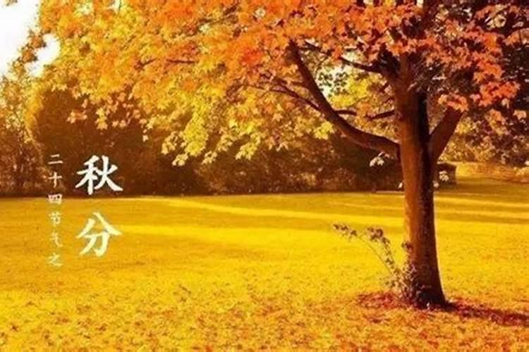 秋分是几月几日,秋分是哪一天