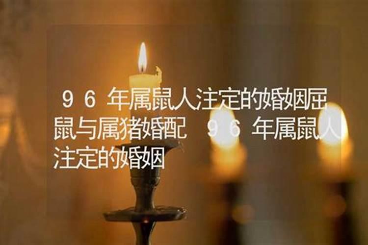 属鼠人在2025的运势如何