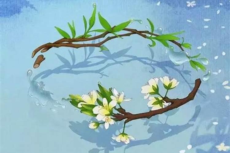 清明节出生有什么讲究
