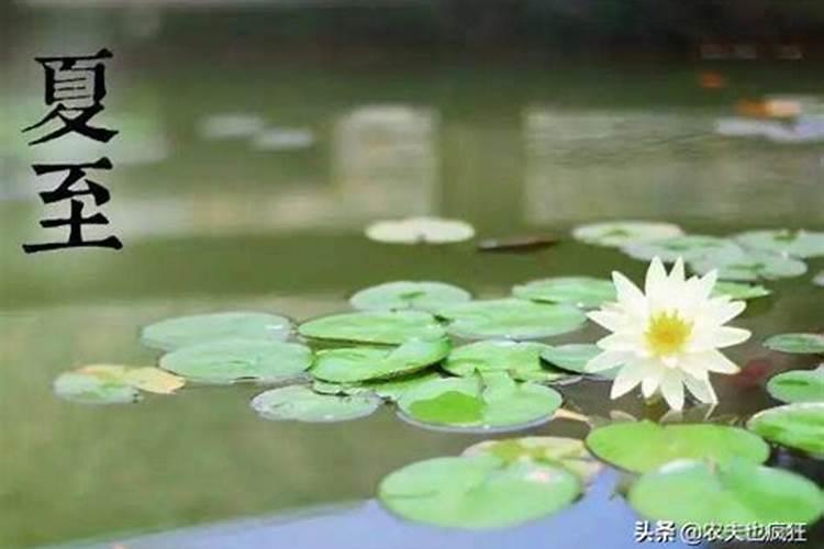 正月十五为什么要散灯