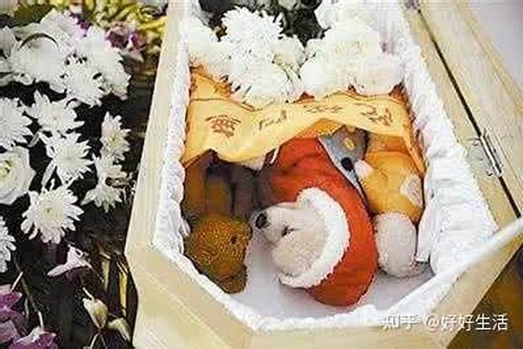 属相合婚准 还是八字合婚准？