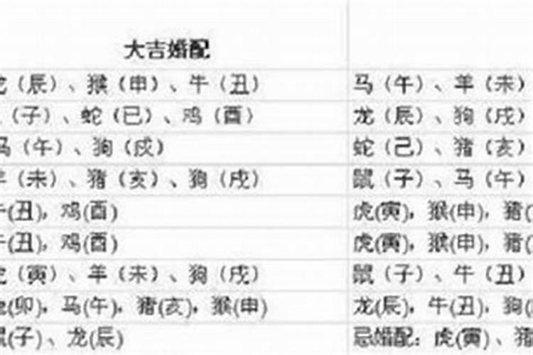 属牛的上等婚姻 属牛男和什么属相最配