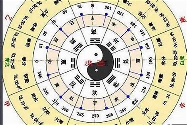 八字分半。是什么生肖