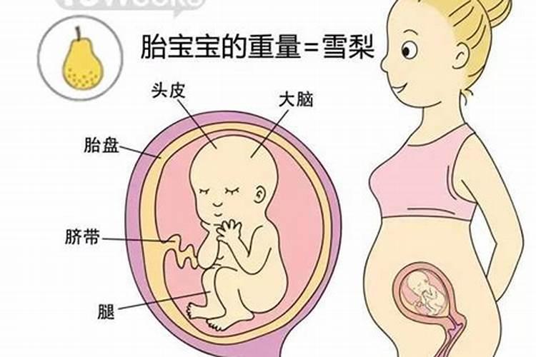 父母应该如何对待子女的成才？