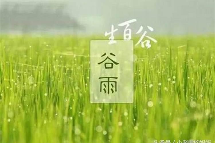 属马人2025年全年运势运程