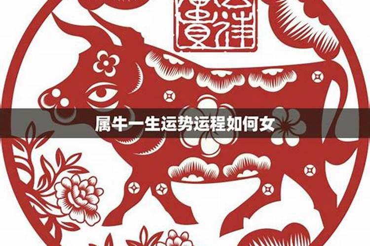 2025年属牛人一整年运势