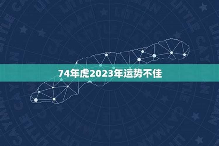 80年属猴人注定的婚姻 80年属猴人一生命运如何