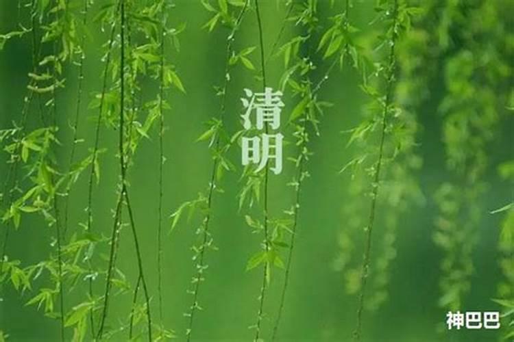 清明节烧纸有什么忌讳吗