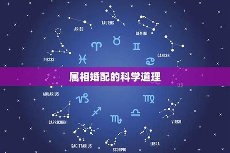 83年属猪人2025年及以后的运势