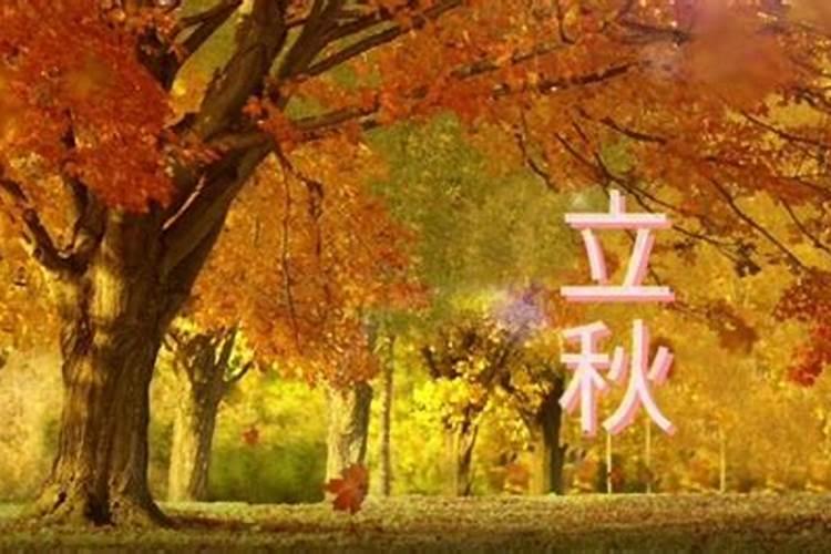 立秋节气民俗 立秋节气有什么风俗