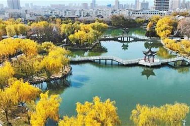 梦见别人吃鱼预兆什么,周公解梦梦见吃鱼什么意思