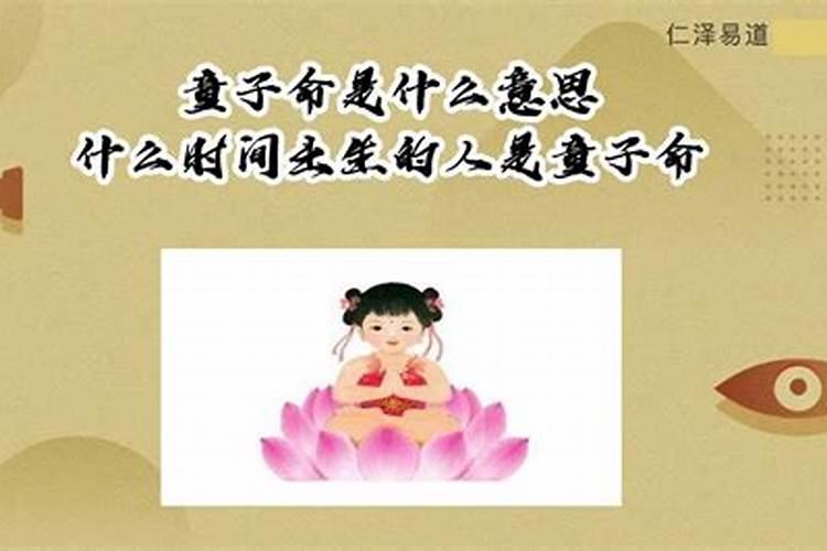 83年猪是什么命