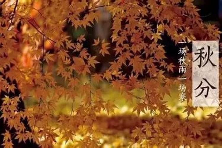 64年属龙2023到2025将来三年运势好吗？