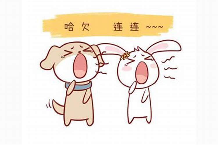2025年5月16日每日生肖运势