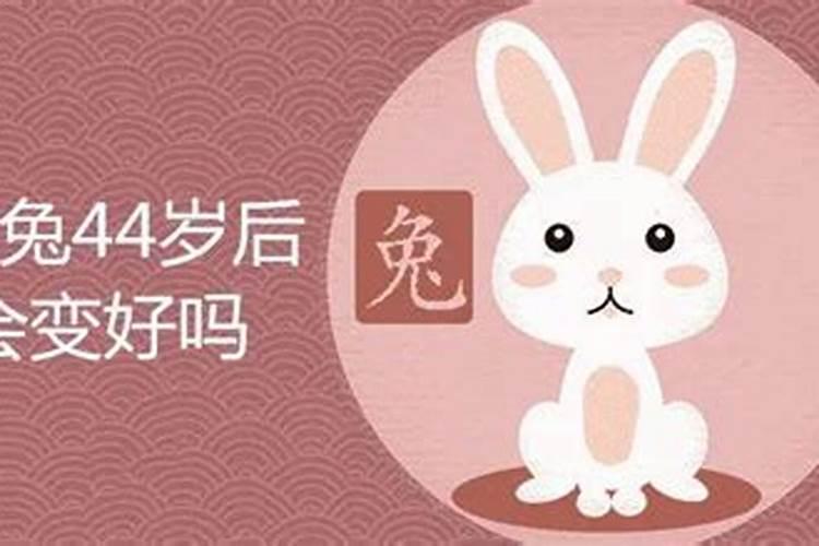 生肖兔本月运势查询,1975属兔今日运势
