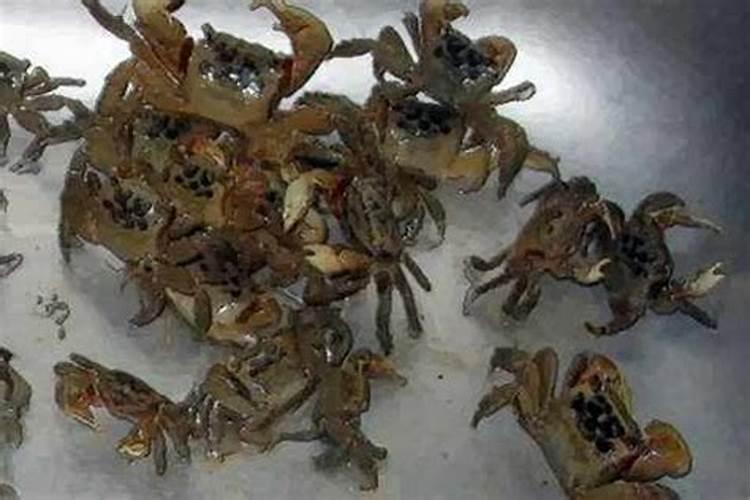 广东寺庙哪个香火最旺 广东十大祈福拜佛圣地排行榜