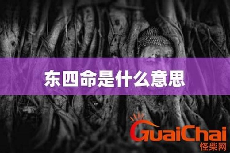 2024年腊月黄道吉日有哪几天2024年腊月哪天日子好