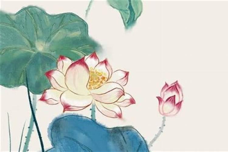 乙木和癸水在一起二者性格互补