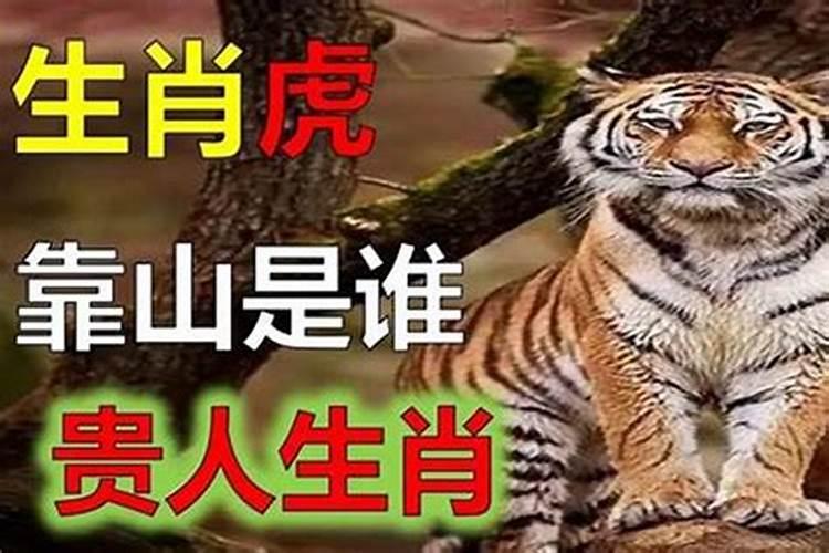 生肖虎人命中注定情人