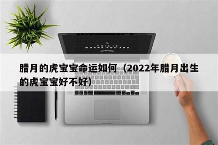 虎生在腊月是什么命属虎的婚配宜忌