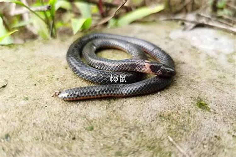 农历七月十五可以去寺庙上香么？