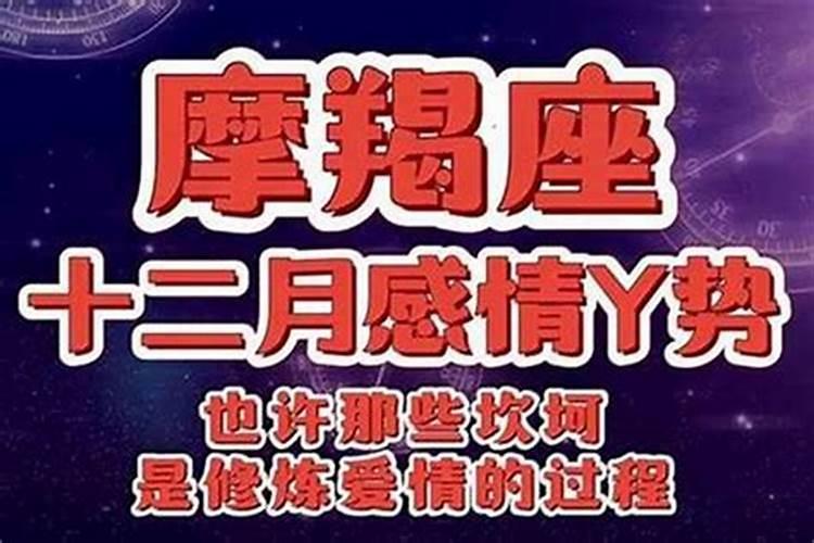 99兔的正缘桃花是谁