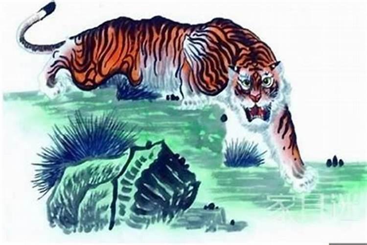 2025属虎今年有一难是什么