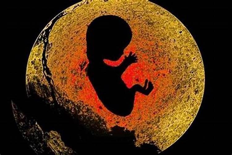 女人八字夫妻宫在哪里 生辰八字婚姻宫解析？
