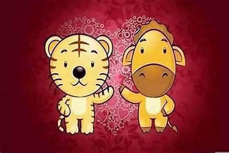 重阳节这一天有什么习俗？